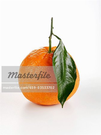 An orange with leaf