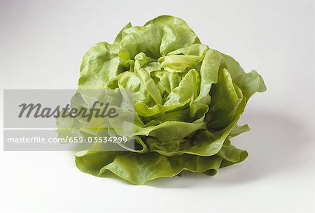 Ein kopfsalat