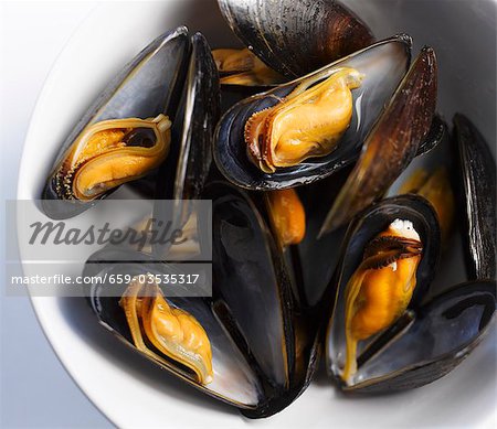Mussels in a bowl (close up)