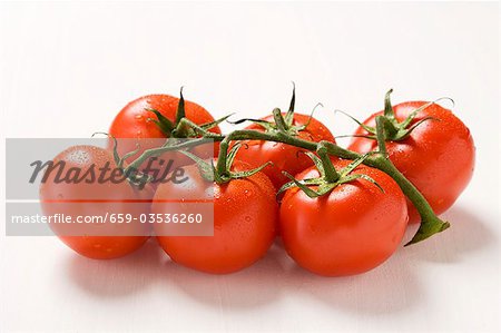 Tomates sur la vigne