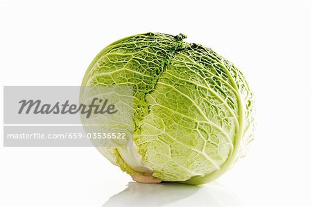 A savoy cabbage