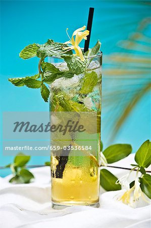 Glass of Ice Tea with Mint Glass of Ice Tea with Mint