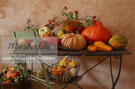 Pumpkin still life on garden table