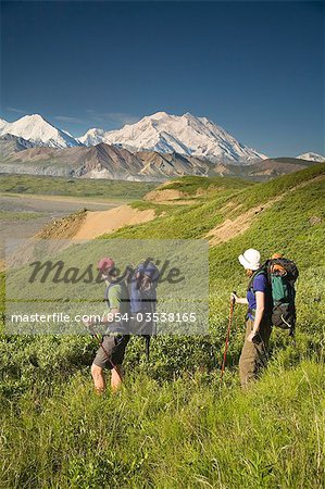 Zwei Rucksacktouristen Wandern in Tundra und Wildblumen am Grassy Pass in der Nähe von Eielson Visitor center Denali NP Alaska