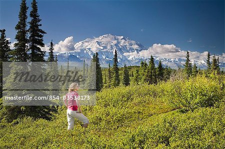 A young woman tourist views MtMcKinley and the Alaska Range in Denali National Park Alaska summer