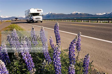 Wohnmobil fahren Homer Spit w/Lupine Wildblumen am Straßenrand Kenai-Halbinsel AK Sommer