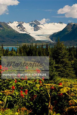 Summer scenic of Grewingk Glacier and the Kenai Mountains of Kachemak Bay State Park in Southcentral Alaska