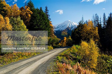 Fall colors and snowcapped peaks along the Palmer Creek Road near Hope in the Chugach National Forest on the Kenai Peninsula of Southcentral Alaska.