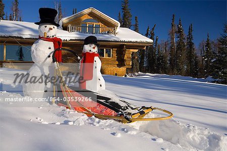Large & small snowman ride on dog sled in deep snow in afternoon in front of log cabin style home Fairbanks Alaska winter