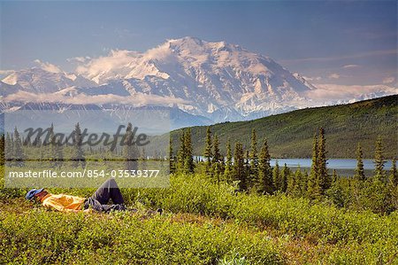 Mâle touristique Mt.McKinley & chaîne de l'Alaska près de Wonder Lake Denali National Park en Alaska été vue (s)