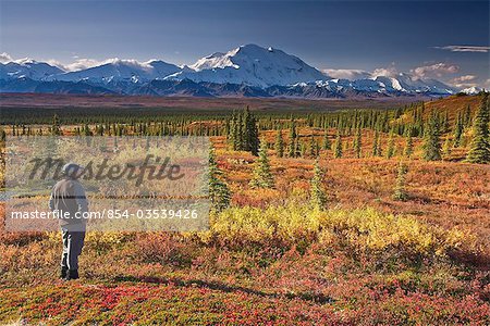 Man views Mt. Mckinley and Alaska Range surrounded by vibrant Fall colors on the tundra in Denali National Park, Alaska