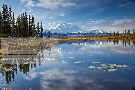 La face nord et le pic du Mont Mckinley est reflétée dans un étang de toundra de petits dans le Parc National Denali, en Alaska
