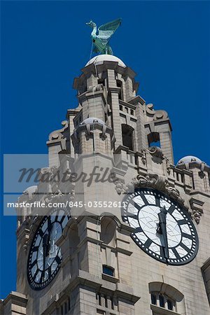 Detail of the Liver Building, Liverpool, Merseyside, England.  Architects: Walter Aubrey Thomas