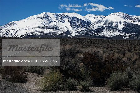 Scène de montagne, Mono Lake, Californie, USA