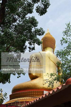 Or Bouddha avec l'arbre de Bodhi, Province d'Ubon Ratchatani, Thailand