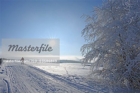 Femme Cross Country Ski, Wasserkuppe, Rhon montagnes, Hesse, Allemagne Femme Cross Country Ski, Wasserkuppe, Rhon montagnes, Hesse, Allemagne