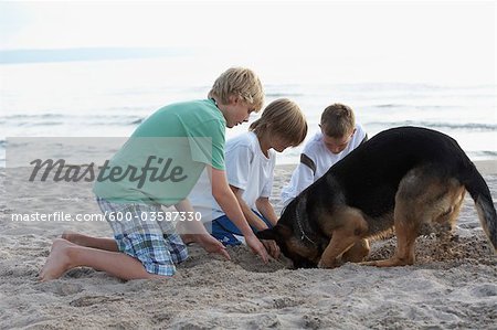 Jungen und Hund graben Sand am Strand
