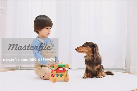 Miniature Dachshund And A Boy