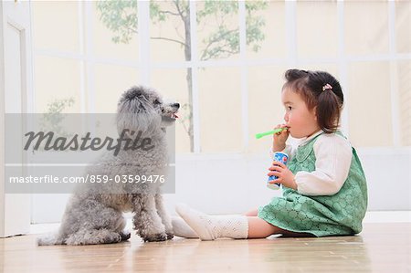 Caniche toy et fille jouant avec bulle de savon