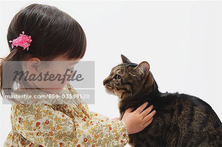 Chat japonais et une jeune fille