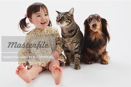 Japanese Cat-Miniature Dachshund And A Girl