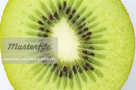 Slice of Nutritious Kiwi Fruit