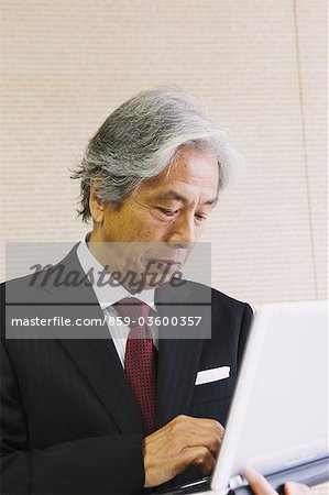 Executive Businessman Looking At PC