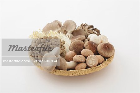 Viele der Pilze im Korb