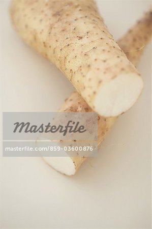 Section Of Chinese Yam