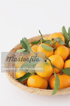 Citrus Unshiu