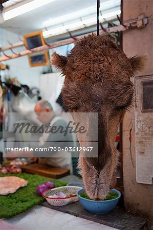 Tête de chameau suspendus en boucherie, Fès, Maroc
