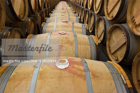 Wine Barrels, Pauillac, Gironde, Aquitaine, France