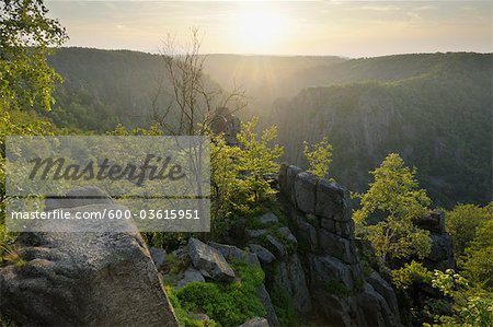 Bode Gorge, Thale, Harz District, Saxony Anhalt, Germany