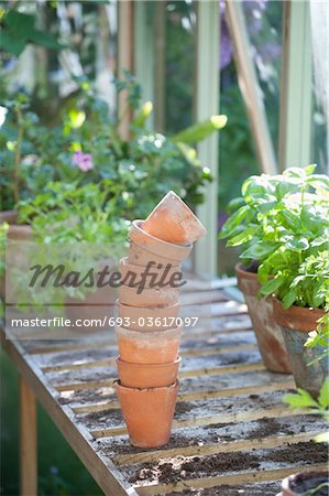 Pile de pots en terre cuite sur établi dans potting shed