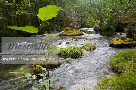 Roseland, Parc National de Folgefonna, Hordaland, Norvège