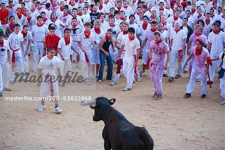 Fiesta of San Fermin, Plaza de Toros de Pamplona, Pamplona, Navarre, Spain