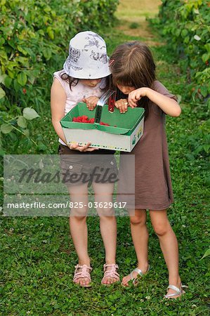 Jeunes filles avec un panier de framboises