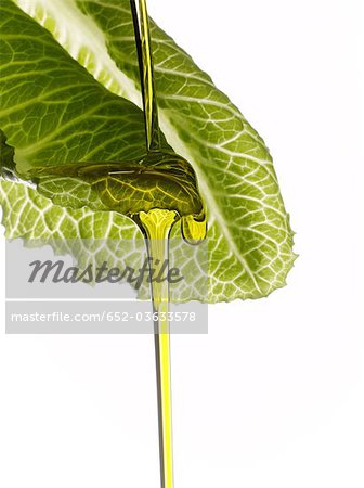 olive oil dropping on a lettuce leaf