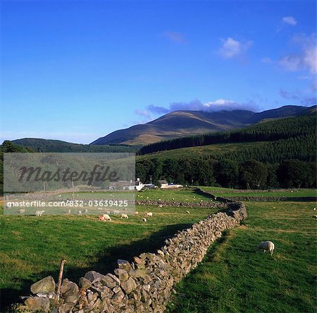 Luke's Mountain, Mountains Of Mourne, Co Down, Ireland