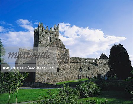 Jerpoint Abbey, Co Kilkenny, Ireland; 12Th Century Abbey