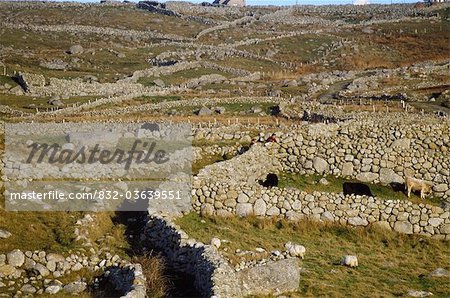 Bloody Foreland, Co Donegal, Ireland; Stone Walls Surrounding Livestock