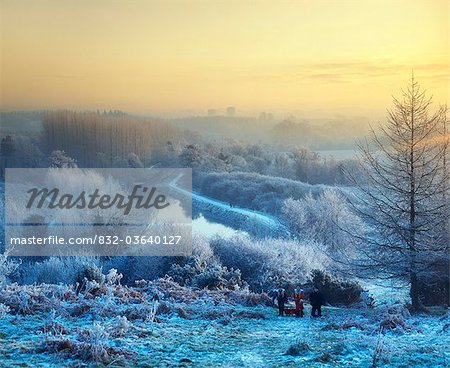 Belfast, Co Antrim, Irlande du Nord, Lagan Meadows