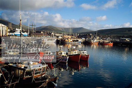 Dingle, Co Kerry, Ireland; Boats In A Port