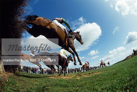 Gorey, Co Wexford, Irlande, courses de chevaux, Point à Point