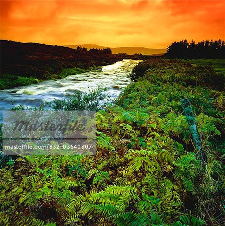 Près de la rivière de Ardragh, Co Donegal, Irlande,