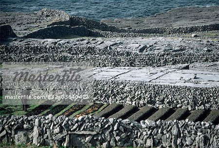 Inishmore,Aran Islands,Co Galway,Ireland;Farmer Cutting Lazy Beds For Potatoes