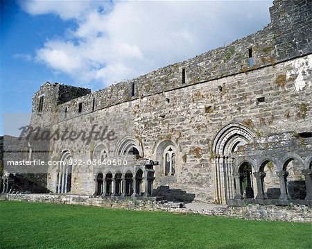 Celtic Archäologie, Long Augustinian Abtei, Kong Co. Mayo,