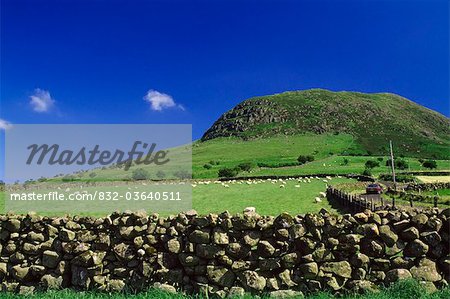 Slemish Mountain, Co Antrim, Irlande