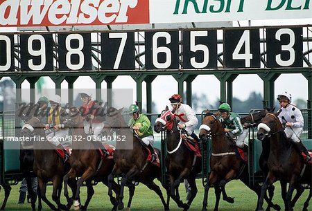 Horse Racing, Ireland