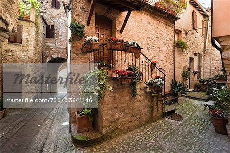 Cobblestone Street in Spello, Umbria, Italy